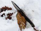 Fiddleback Forge Woodsman.jpg