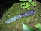 OD02Busse_24pct.JPG