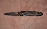 w&h-t10-lancet-cf1.jpg