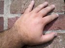 IMG_20110722_103946.jpg