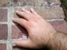 IMG_20110722_103957.jpg
