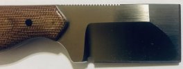 IMG_1293.jpeg