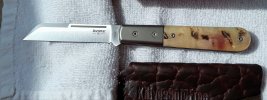 Lionsteel dom.jpg Lionsteel dom.jpg