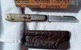 Lionsteel dom2.jpg Lionsteel dom2.jpg