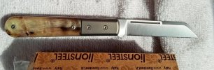 Lionsteel dom3.jpg Lionsteel dom3.jpg