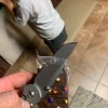 D71E6837-6C37-49AD-A11E-A13998BD869D.jpeg