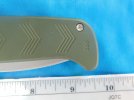 DSC01656.JPG