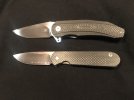 A3 en Bull large shamwari 2.jpg