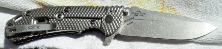 zt 0560.jpg