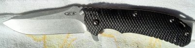 zt 0560a.jpg