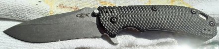 zt 0560c.jpg