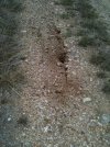 Drouth crack1.jpg