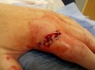 IMG_20110704_235108.jpg