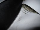 IMG_0067.jpg