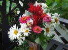 DSCF0266 BOUQUET DAISY BEE BALM ZINNIA 650 MED.jpg
