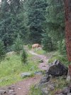 20200716_063613.jpg