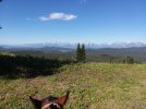 20200717_092729.jpg