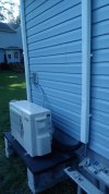IMG_20200715_170743.jpg
