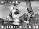 one-little-nudge-an-hes-down-that-well-forever.jpg