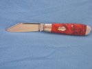 DSCN5568.jpg