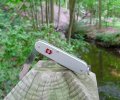 cadet.silver.Vstand.aqbridge2.jpg