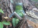 SuckerFrog-2.JPG