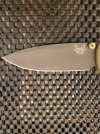 bugout 4.jpg bugout 4.jpg