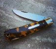 GEC_83_tortoise_02.jpg