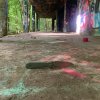 178E214B-5871-4DF0-823F-34B43DDAE1AB.jpeg