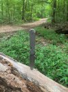 D4F04350-CFEE-43B0-9B25-91387FC1D2AD.jpeg