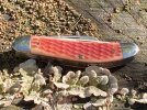 StrawberrySowbelly-4.JPG