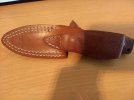 IMG_20200728_182123341.jpg