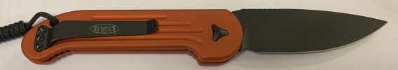 LUDT orange (2).JPG