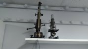 IMG_20200723_073118.jpg