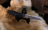 SOG-Field-Pup.jpg