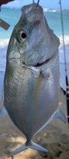 1769D561-3C9D-4DBF-BC84-FEB27402F9CC.jpeg