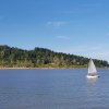 IMG_20200731_225204_523.jpg