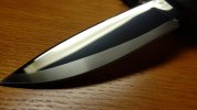 20200803_141456.jpg