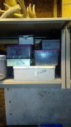 IMG_20200802_135942.jpg