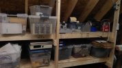 IMG_20200802_140012.jpg