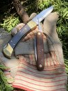 AntoniniBuck110-1.JPG