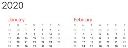 58.leapyear.2020.jpg