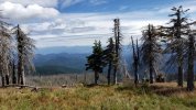 20200808_114613.jpg