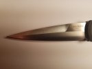 20200808_000832.jpg 20200808_000832.jpg