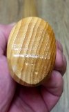 20200811_062921.jpg