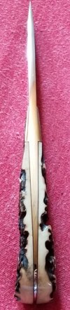 20200812_123219.jpg
