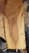 spalted Koa Plank-100.jpg