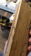 Spalted Koa Billet 3-100.jpg