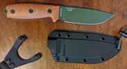 Esee4-4.jpg