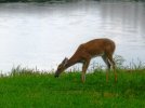 IMG_0846.jpg